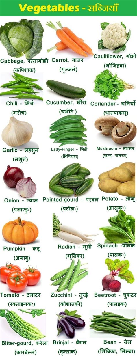 20 vegetables name in hindi and english|english vegetables name list.